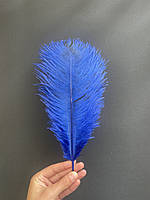 Перо страуса 32-35 см, синего цвета, цена за 1 шт!