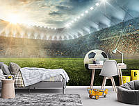 Флизелиновые фотообои в детскую футбол 254x184 см 3D Спорт Немецкий футбольный стадион с мячом (14576V4)+клей