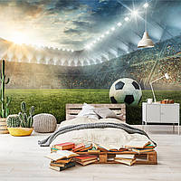Футбольные флизелиновые фотообои 416x254 см 3D Спорт Немецкий футбольный стадион с мячом (14576VEXXXL)+клей
