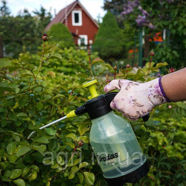 Пневматичний обприскувач 1,5л, AQUA SPRAY CLEAR - фото 7 - id-p1897224512