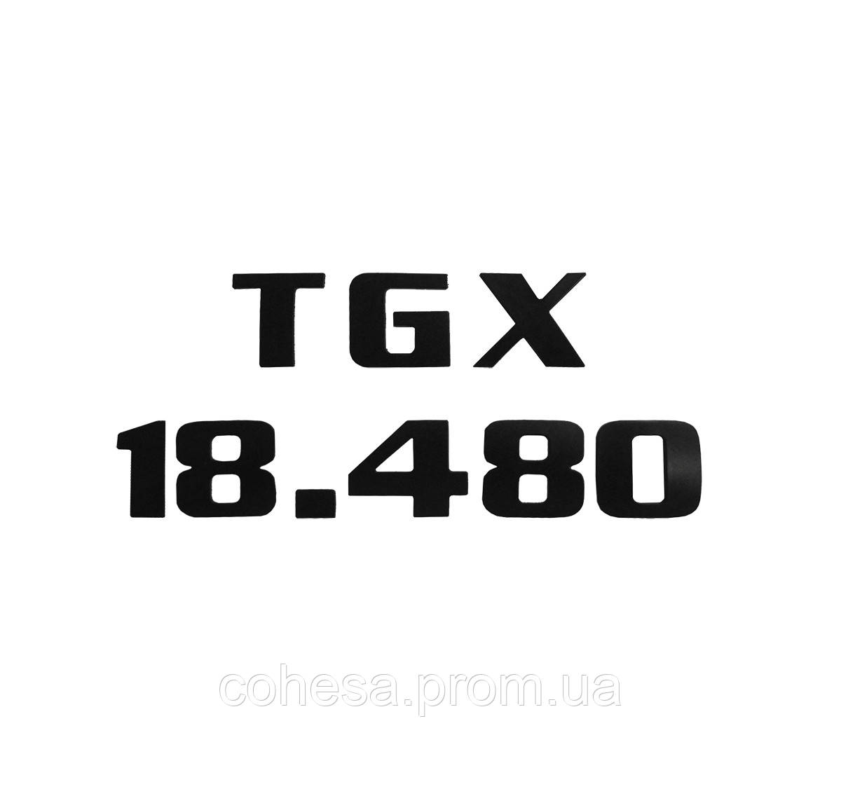 Ідентифікаційна табличка "TGX 18.480" - фото 1 - id-p1405062881