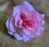 Голова розы розовая