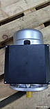 Електродвигун ML 632-4 0.18KWB14 230 V 50HZ INDUCTION MOTOR
( фланцове виготовлення В14), фото 3