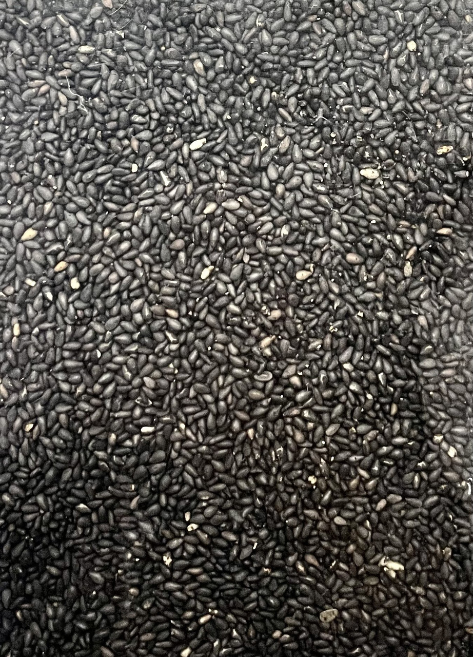 Кунжутные семена черные (кунжут) SAP 500г - фото 2 - id-p1897251133