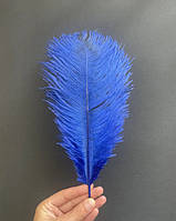 Перо страуса 32-35 см, синего цвета, цена за 1 шт!