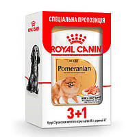 Royal Canin Pomeranian Loaf Паштет для собак породы Померанский шпиц Акция 3+1 шт