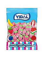 Дикая клубника кислая желейные конфеты Vidal Испания 1 кг