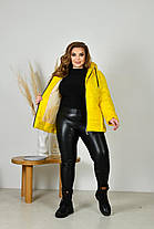 Куртка осіння жіноча, фото 3