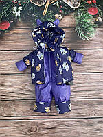 Костюм зимовий дитячий, куртка та напівкомбінезон "Ушастик" на махрі для діток на 1-4 роки. Том і Джеррі фіолетовий