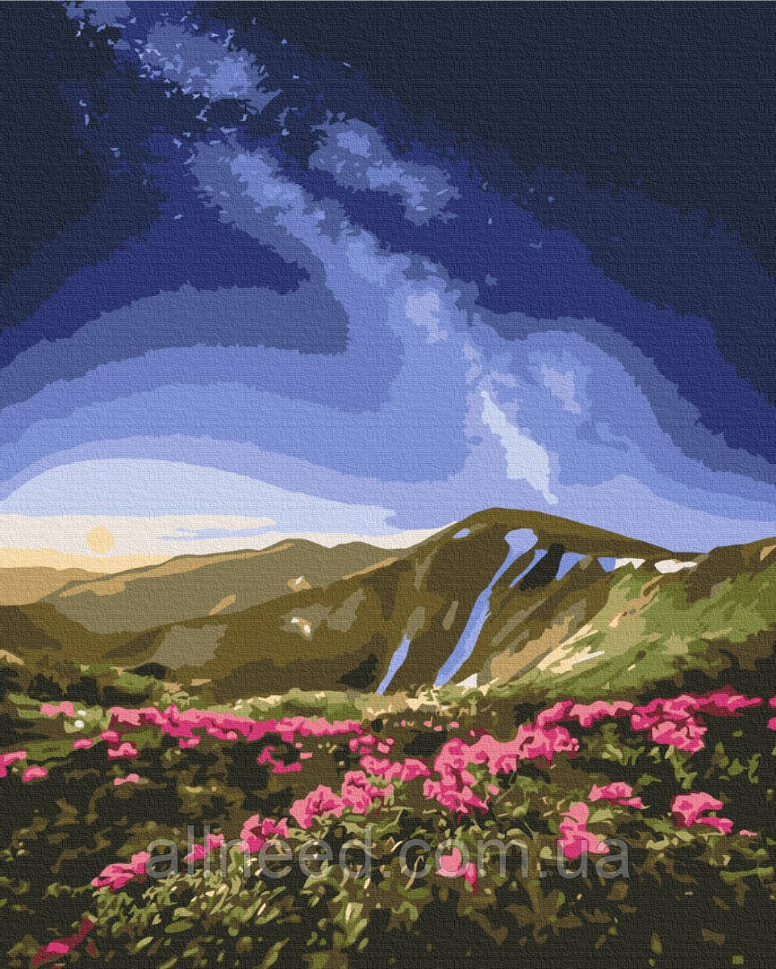 Картина за номерами Чорногора © Roksolana Baran