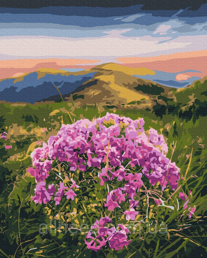 Картина за номерами Цвітіння Карпат © Roksolana Baran