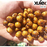 Тигровий горіх Xufex (Іспанія) Tiger Nut Standart Mix 8-12mm (2025) - 25kg, фото 8
