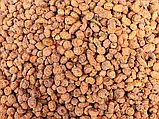 Тигровий горіх Xufex (Іспанія) Tiger Nut Standart Mix 8-12mm (2025) - 25kg, фото 7