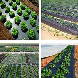 Плівка , сітка та агроволокно