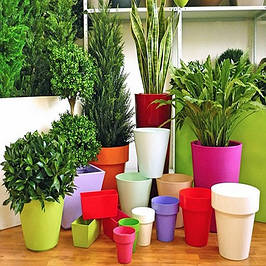 Горщики і кашпо для рослин.Інший пластик