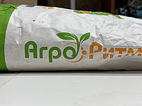Насіння кукурудзи АР 18101К ФАО 310. Кукурудза Агро Ритм АР 18101К 140 ц/га. 80 тис. нас., фото 7