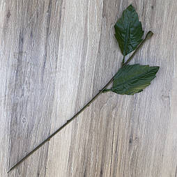 Ніжка для квітів, 49 см (10 шт. в уп)