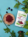 Сублімована Ожина (порошок) - 50 грам (УЦІНКА), фото 3