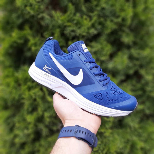 Nike air sales pegasus 31 mens