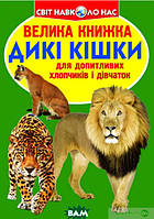 Детские книги о животных растения `Дикі кішки` Познавательные и интересные книги