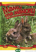 Дитячі книги про тварин рослини `Мами та малюки. Енциклопедія для допитливих` Пізнавальні та цікаві книги