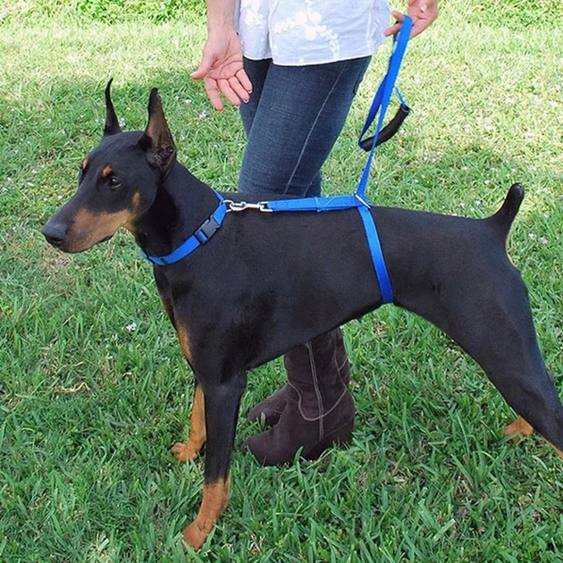 Повідець для собак The Instant Trainer Leash