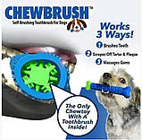 Зубна щітка іграшка-кість для чищення зубів у собак Chewbrush. Кісточка Зубна щітка для чищення зубів, фото 3