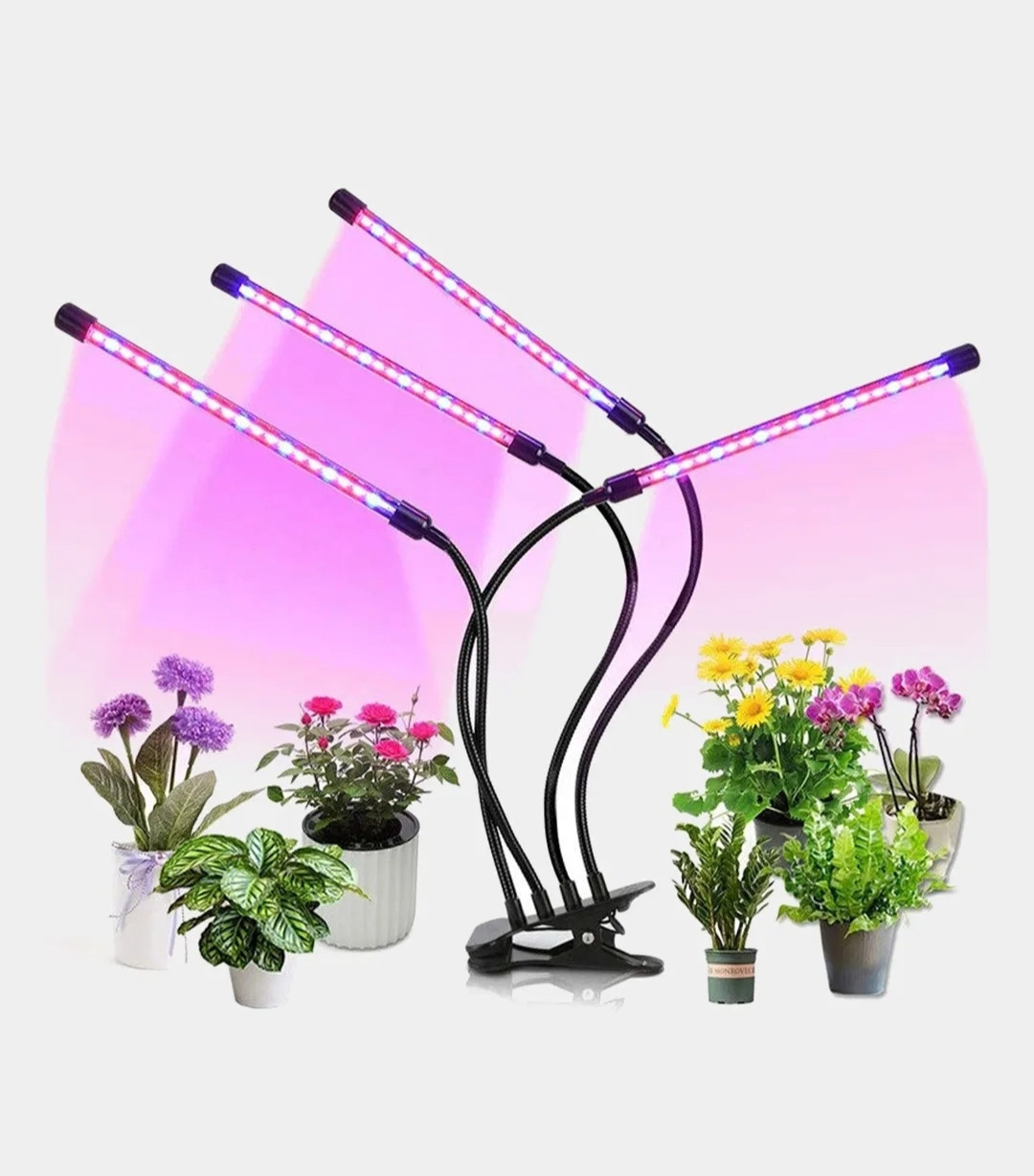 Фітолампа для рослин з таймером на 4 гілки GlowLight для вирощування кімнатних рослин Full Spectrum