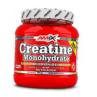 Креатин AMIX Creatine Monohydrate 300 г