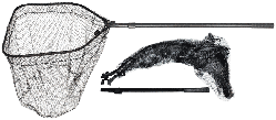 Підсак Carp Zoom Epsilon Folding Landing Net 80x70x75/250cm