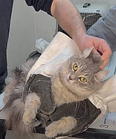 Защитные перчатки для грумеров и ветеринаров ( для защиты от царапин и укусов кошек и мелких собак)