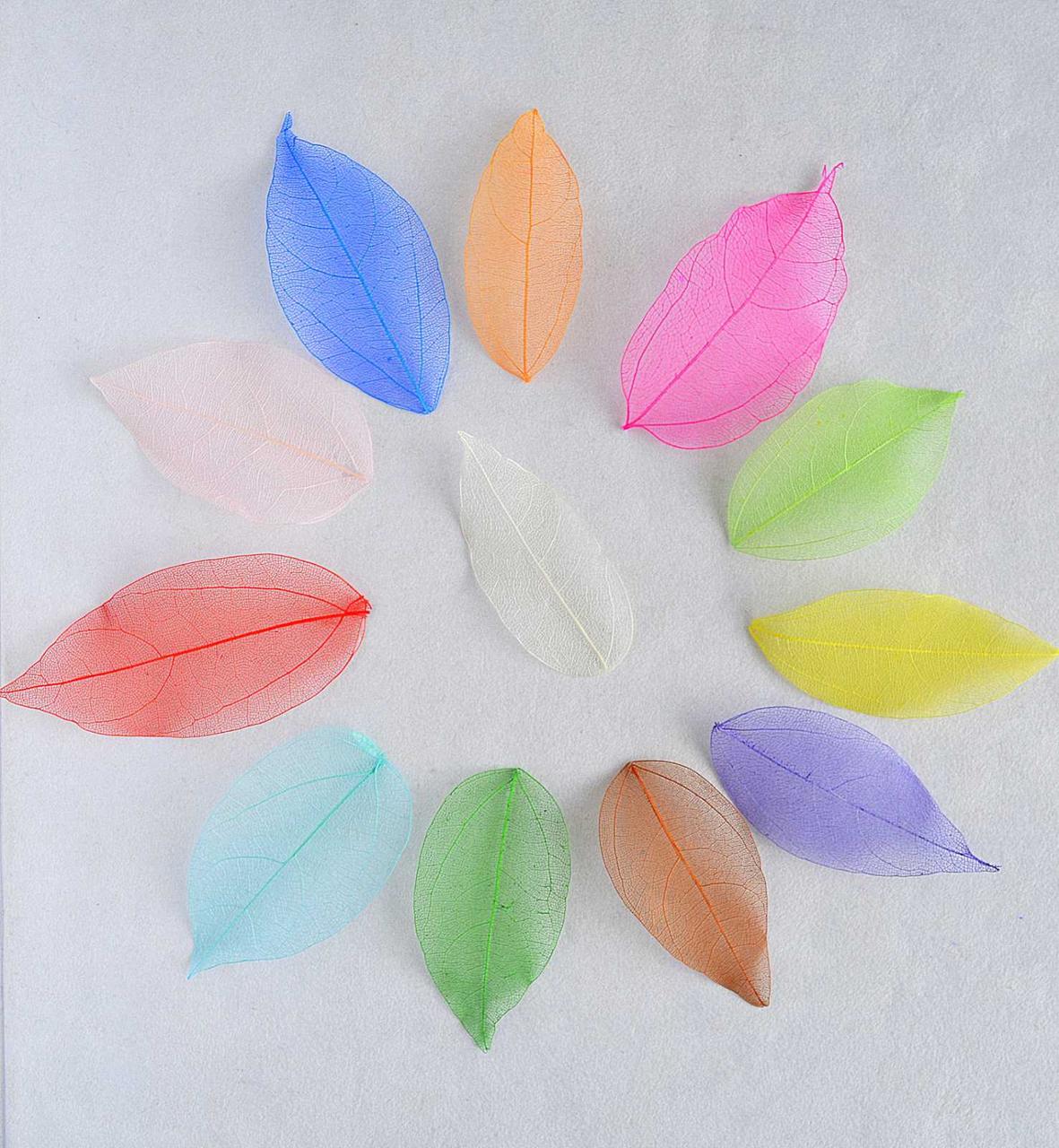 Скелетоване листя, Різнокольорове, набір 12 шт., фото 1
