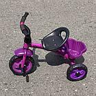 Дитячий триколісний велосипед від 1-3 років TILLY TRIKE T-315 для малюків з кошиком різні кольори, фото 4