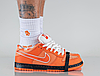 Кросівки Nike SB Dunk Low Concepts Orange Lobster - FD8776-800, фото 6
