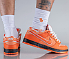 Кросівки Nike SB Dunk Low Concepts Orange Lobster - FD8776-800, фото 10