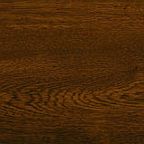 Підвіконня пластикове глянець золотий дуб нетиповий капінос Ganz, фото 4