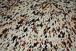 Біла з коричневими та чорними плямами шкура буйвола , фото 5