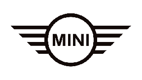 Автокилимки Mini (Міні)