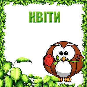 Квіти рослин