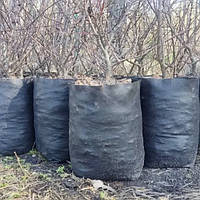 Grow Bag 100 литров Тканевый горшок / агротекстильный горшок (плотность 100 г/м2)