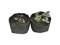 Grow Bag 3 литра Тканевый горшок / агротекстильные горшки для растений (щільність 50г/м2)