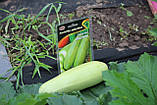 Насіння кабачка Малюк 20 г НК Еліт, фото 4
