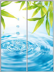 Шафа-купе з фасадом "КЛАСІК 3" Pr017 Природа