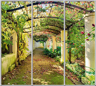 Шафа-купе з фасадом "КЛАСІК 2" Pr032 Природа