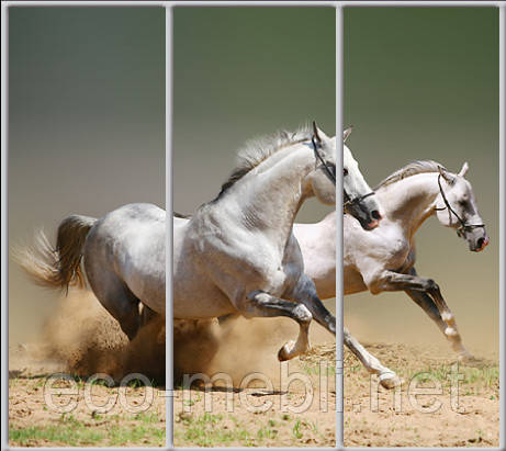 Шафа-купе з фасадом "КЛАСІК 2" An039 Животные, фото 1