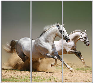 Шафа-купе з фасадом "КЛАСІК 2" An039 Животные
