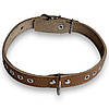 Шкіряний нашийник для собак прикрашений прошитий обхват шиї 41-49 см, ширина 20 мм Пісочний (Бежевий), фото 8