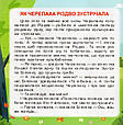 Розвиваємо мовлення без проблем. Г. Дерипаско В. Федієнко, фото 2