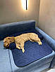 Лежак на диван для собак та котів синій L-5, фото 4