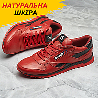 Кожаные кроссовки осень-весна Reebok, красные молодежные кроссы из натуральной кожи обувь *R-1 кр\ч*